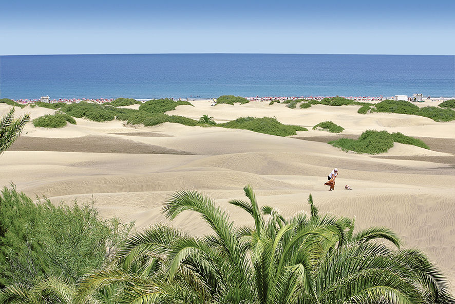 Lucana Playa del Ingles  Luaran gambar